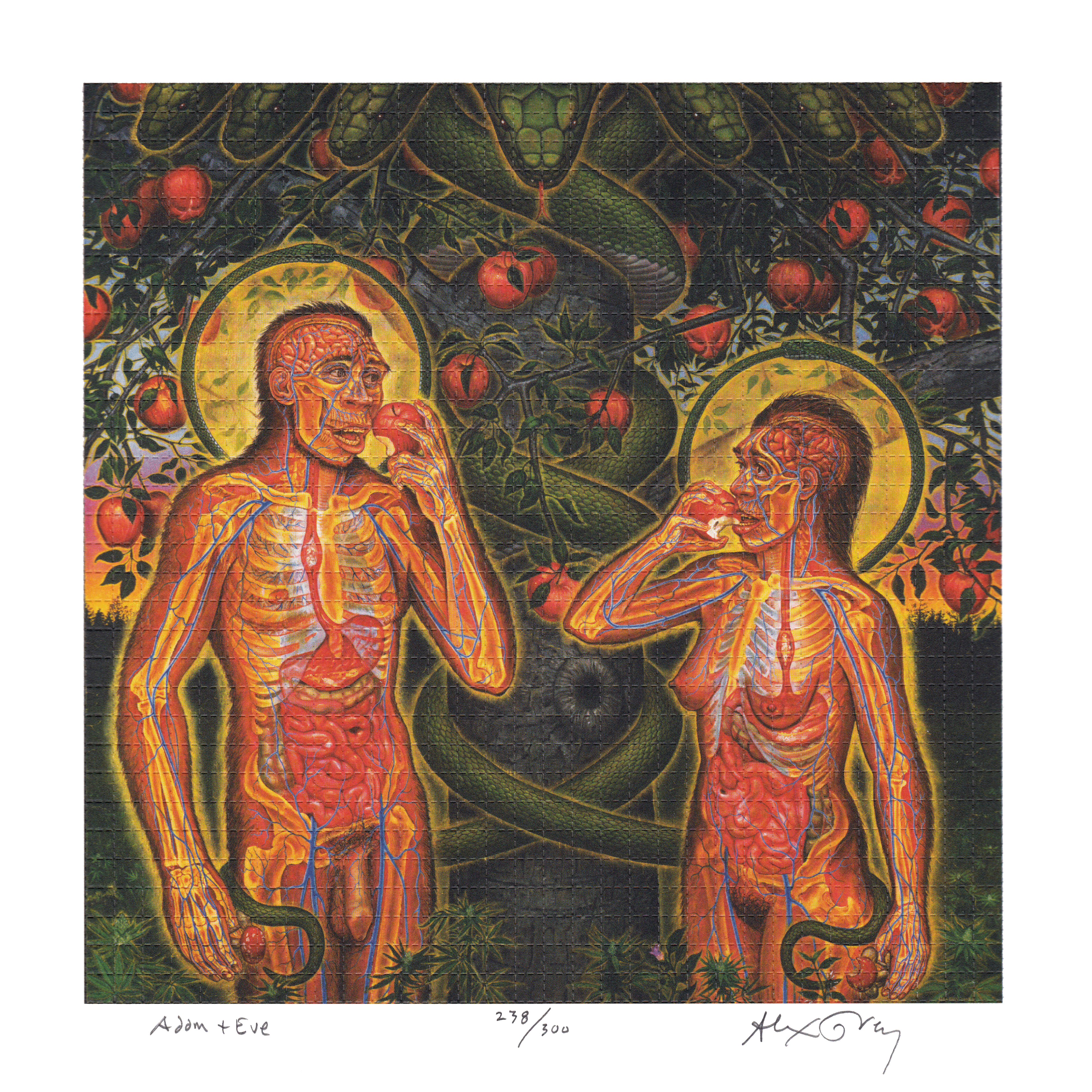 Adam & Eve by Alex Grey as LSD Blotter Art #238/300