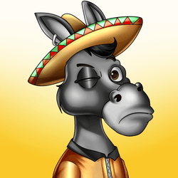 Sombrero Donkeys collection image