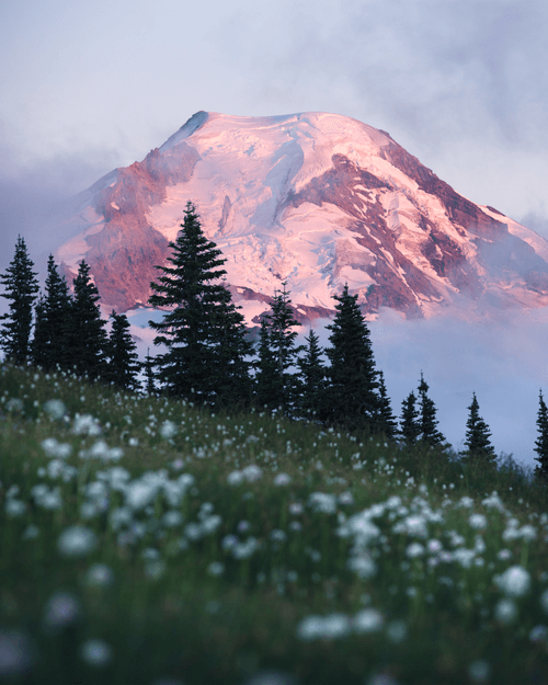 Mt. Baker