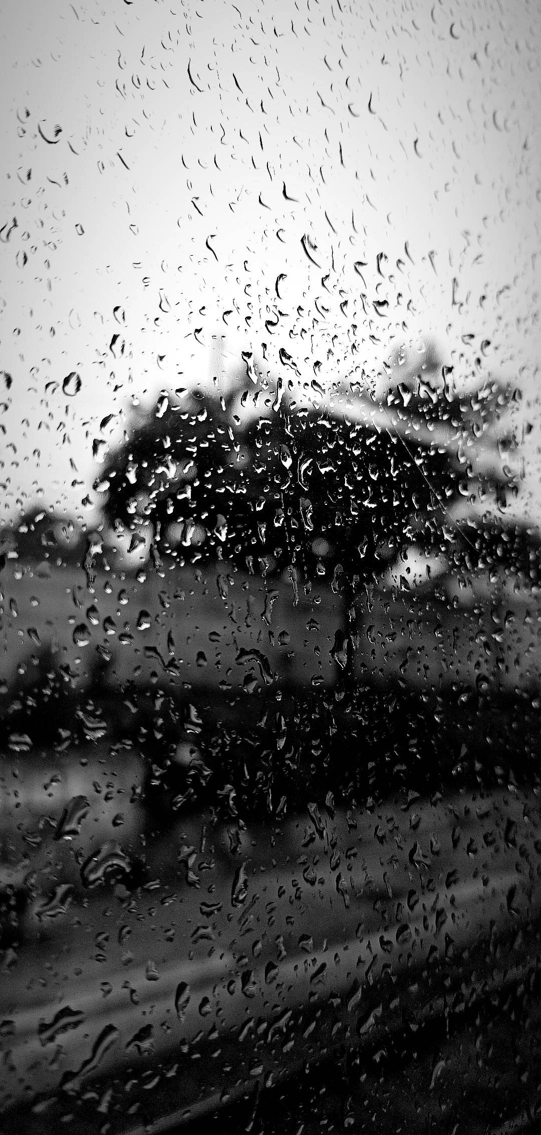 heavy rain zzz - Collection OpenSea