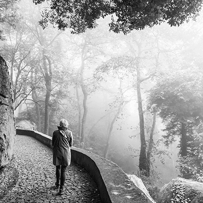 Into the Mist by Pelin Genc