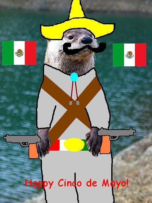 Bandito Otter