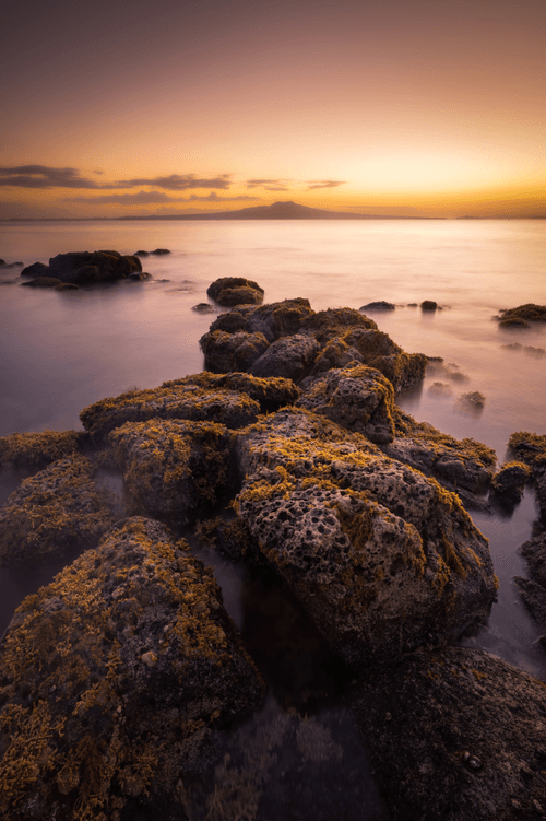 Rangitoto Sunrise