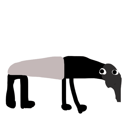 Tapir