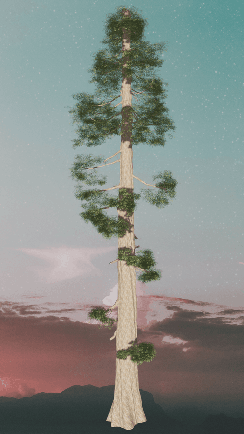 _mintForest Redwood #103