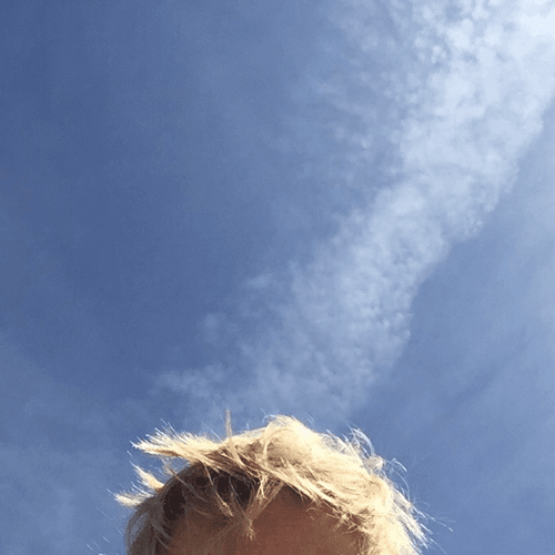 ȷď𝐛𝐛🌳 pfp