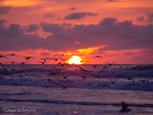 Visions 2020: Shaun R. Smith Sunrises