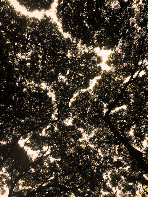 Ordinary days #16