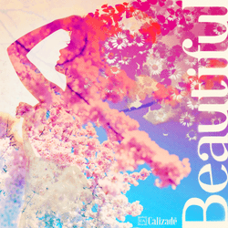 Calizade Beauty "Beautiful" Charity Bundle collection image