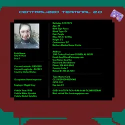 Centralized Terminal 2.0 collection image