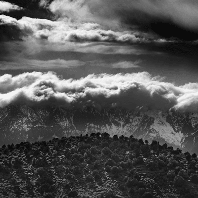 Nature's Layer Cake by Steve Bennett