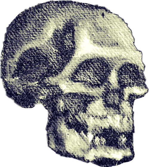 Hot Skull BWG