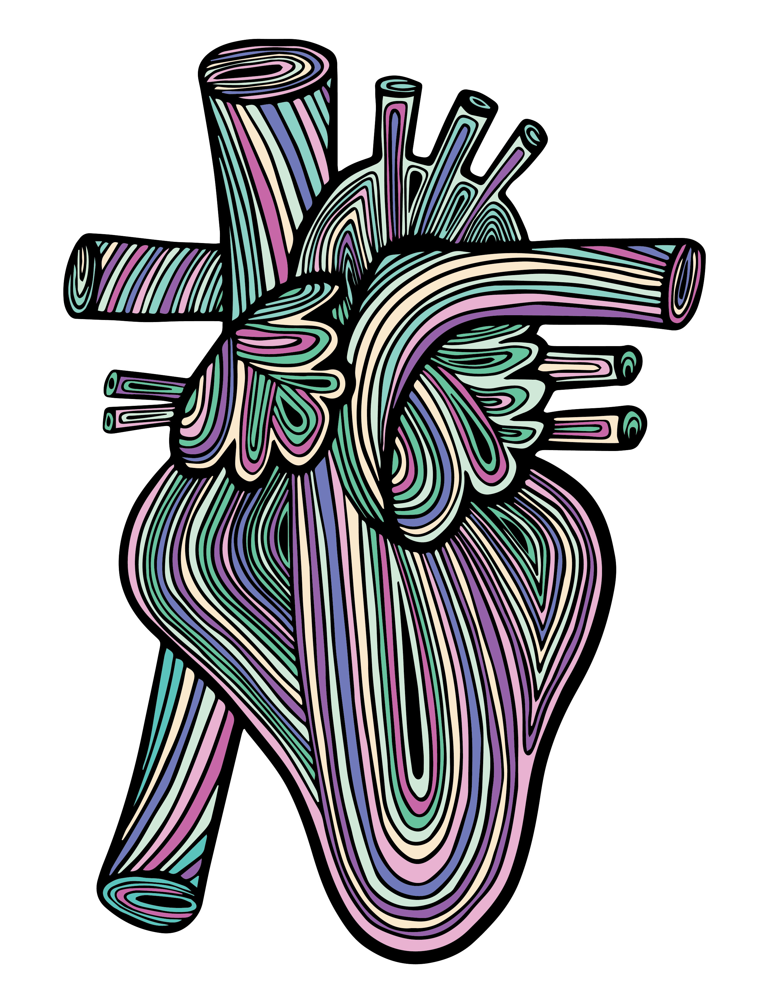 Anatomical Heart #24