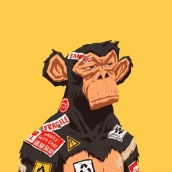 Bored Ape Evolution Club by Imaginary Sina collection image