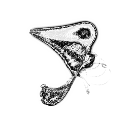 Just alive (with no particular aim) 20210908