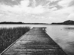 Masuria / Black and white photography collection image
