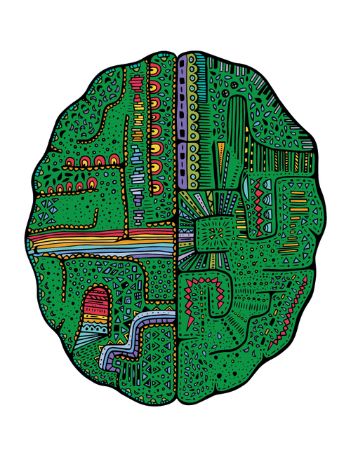 Brain #56