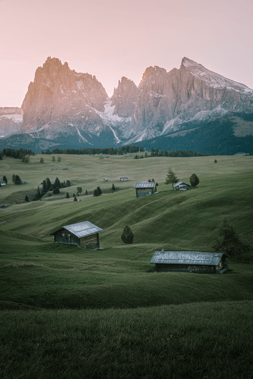 2 - Alpine Meadow 