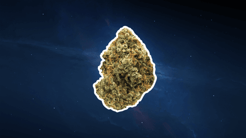 WEEDBUD