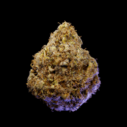 Look Labs - 420 Buds collection image
