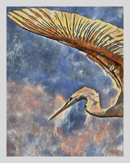 Watercolor - Great Egret 9