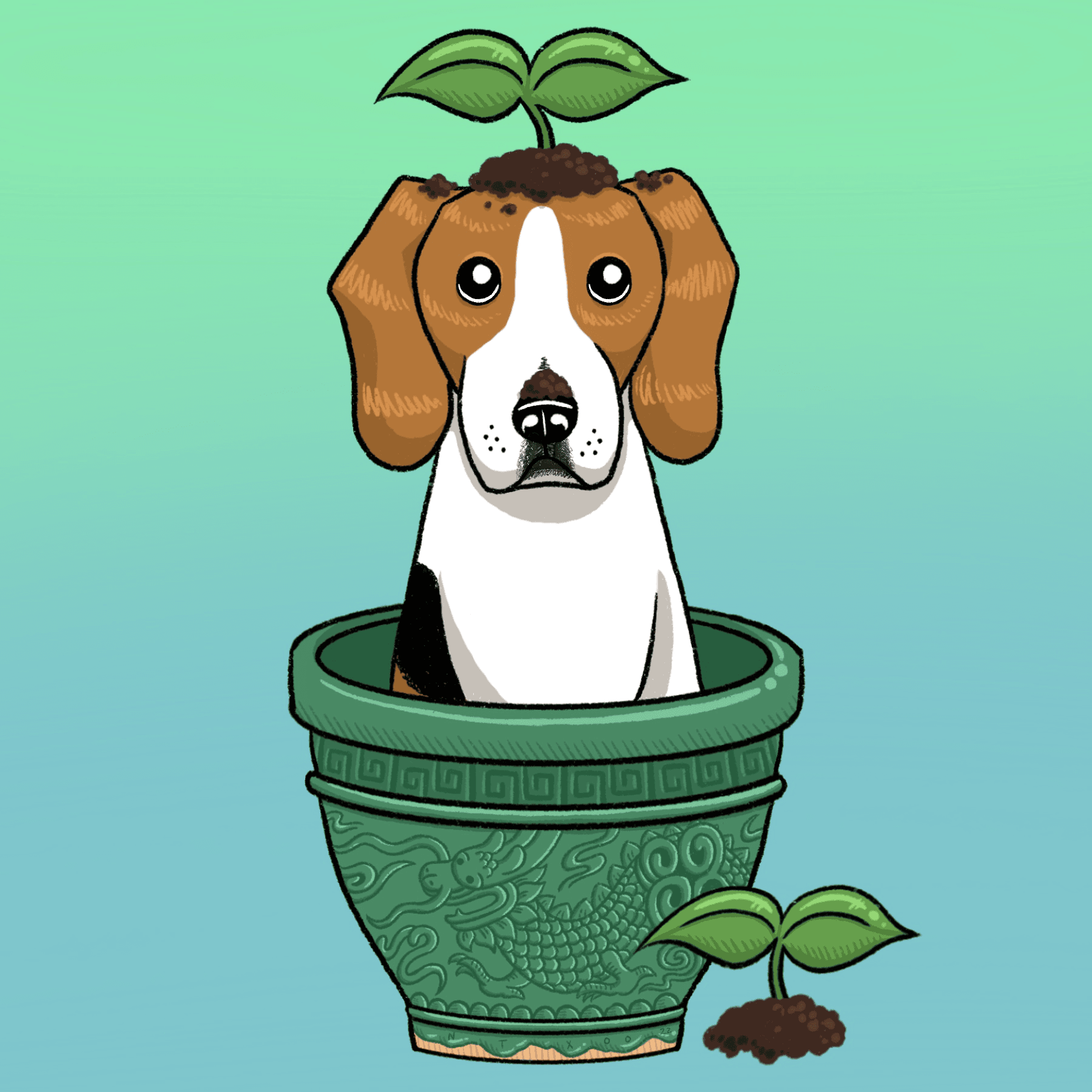 Darcy in Pot