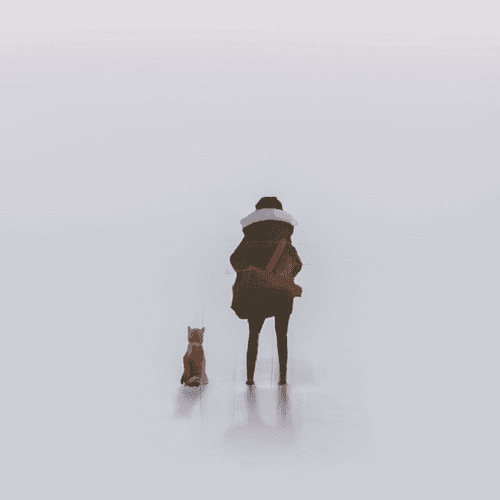 The 13th journey