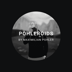 POHLEROIDS collection image
