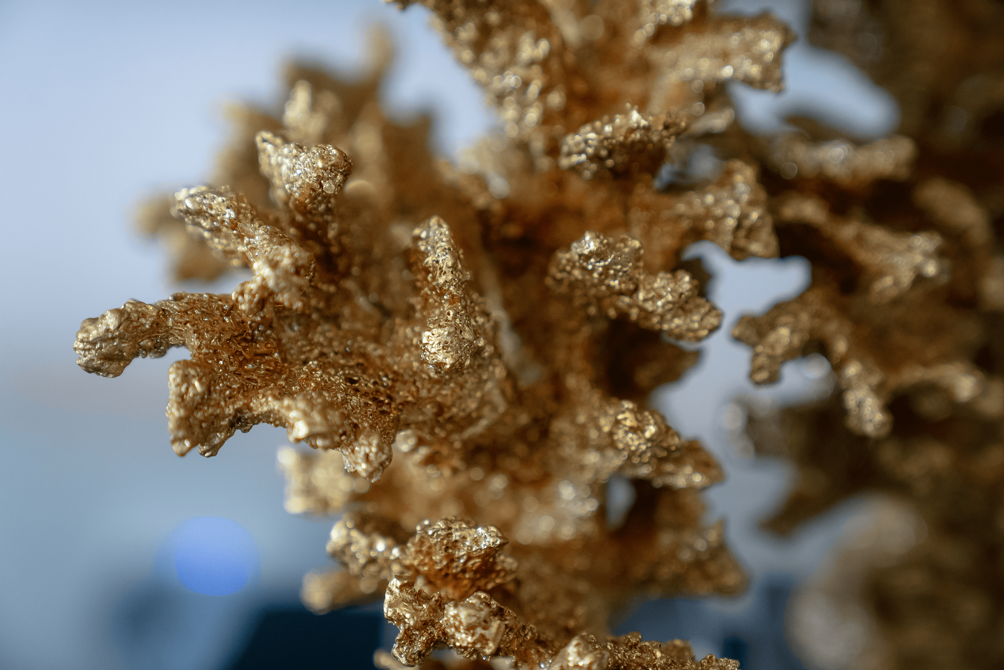 Golden Coral 
