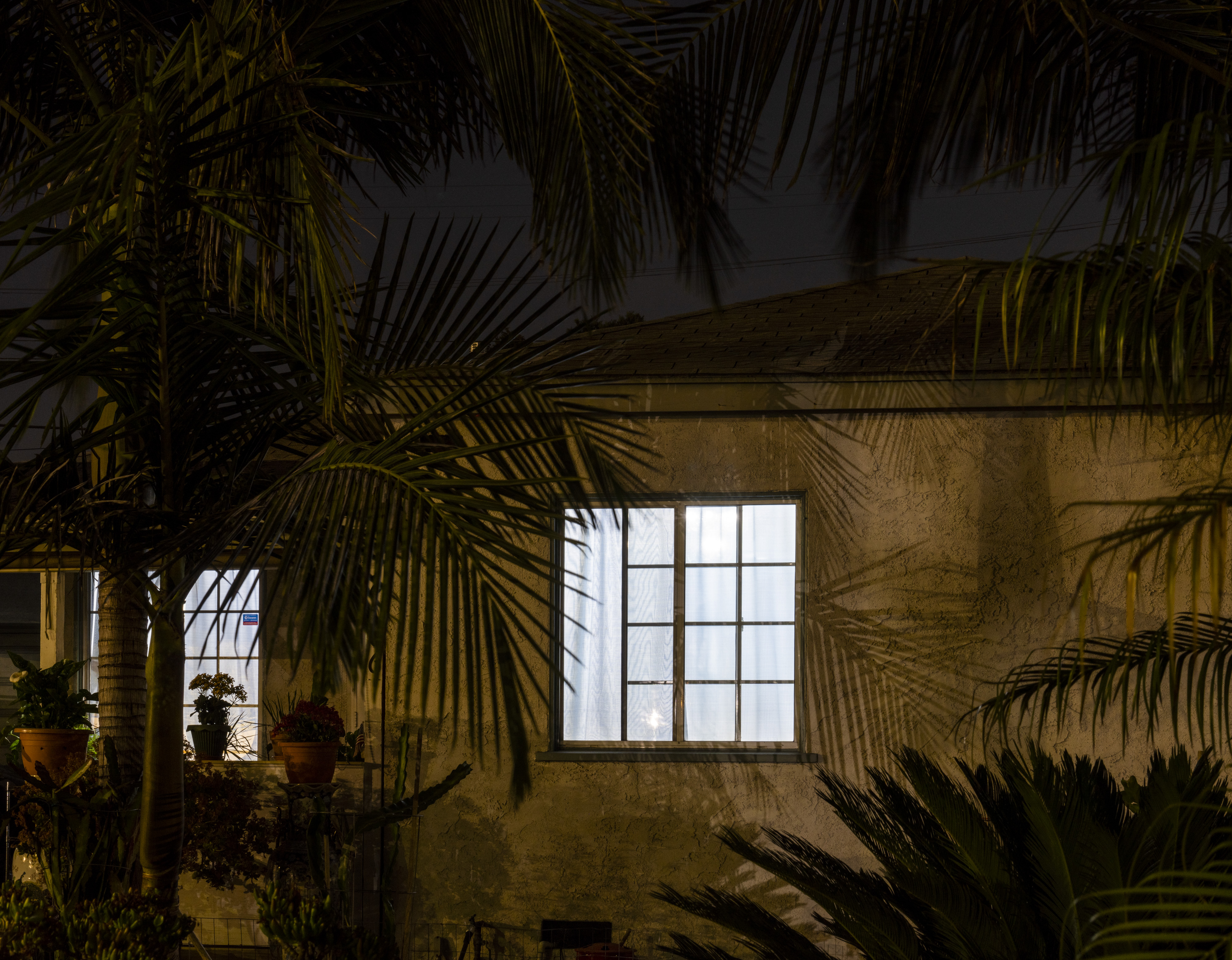 Windows and Palms, El Serano