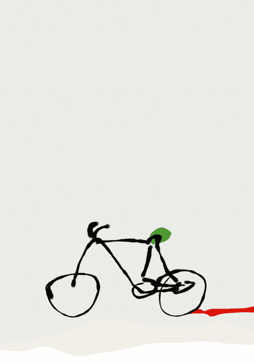 Bike Mystery X
