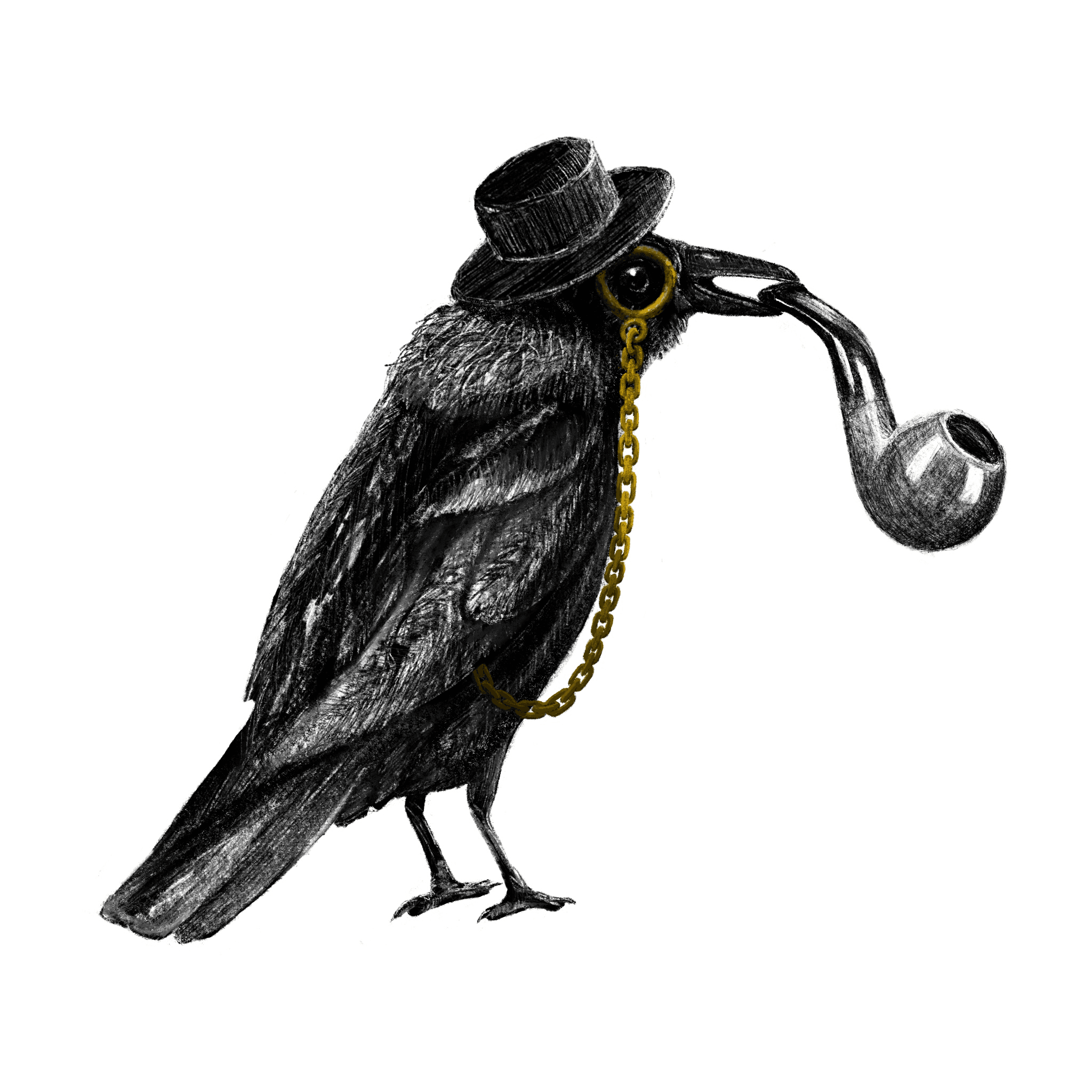 2022-07-22 Crow