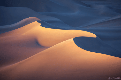 Mojave Winds - Alex Noriega