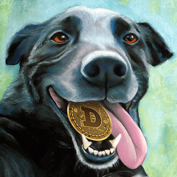 Coin Dogs collection image