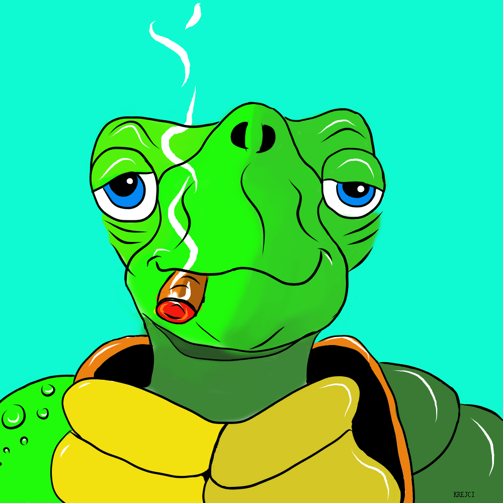 Crypto Turtle$ - Collection | OpenSea