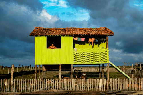 Amazon Facades - Luiz Braga