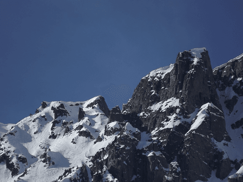 Beautiful Alps