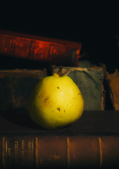 Still Life