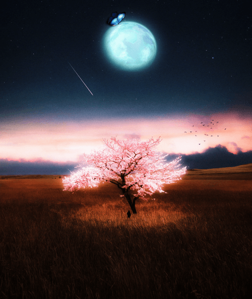 Glowing Tree