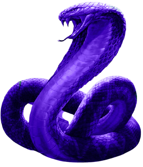 purple snake - multi-colored snakes | OpenSea