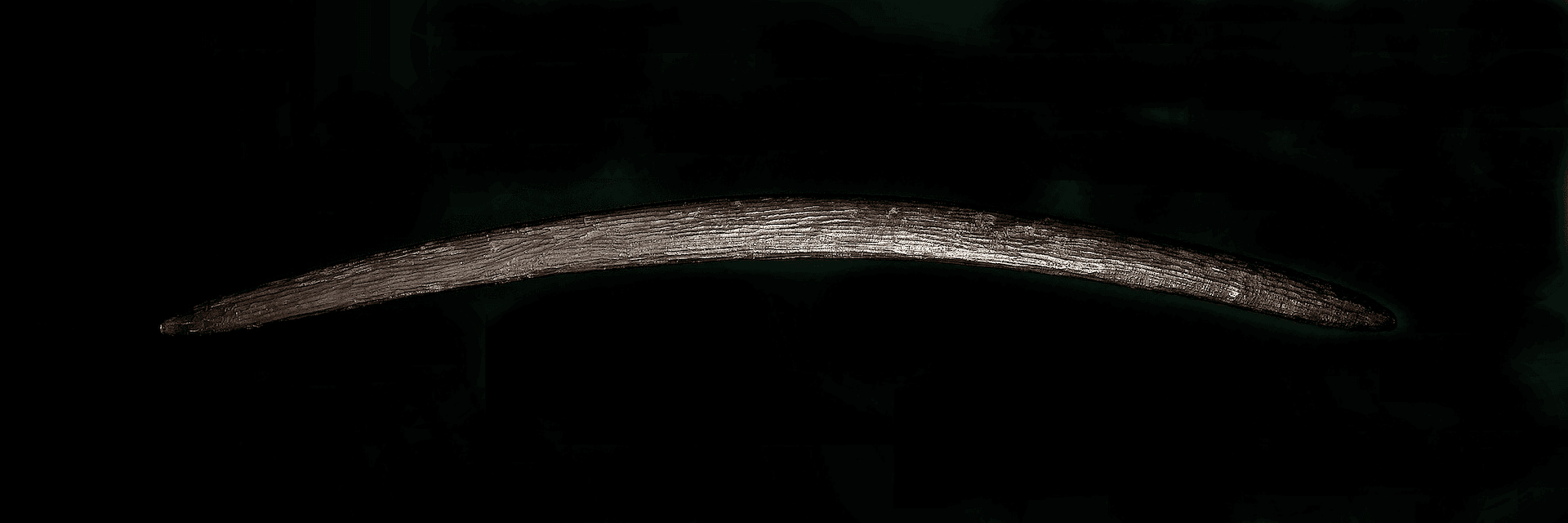 'Boomerang6' - Wood, Dark aged patina - Physical NFT