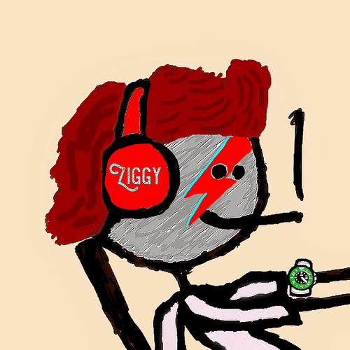 Ziggy Mfer