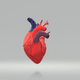 3DHEART - old