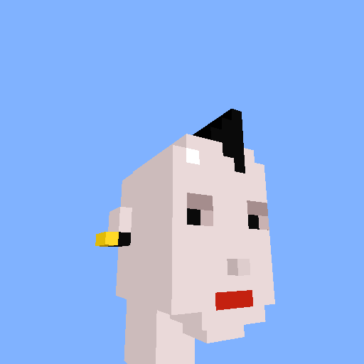 PunkVoxels #9895