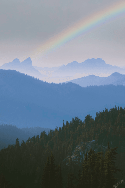 Summers in the Alpine