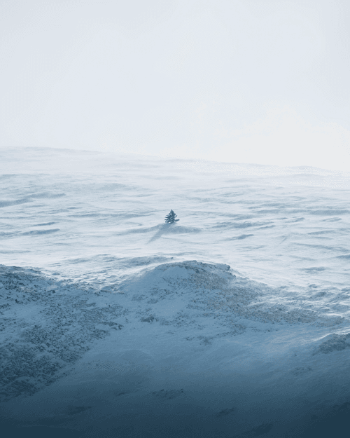 The Sounds Of Silence