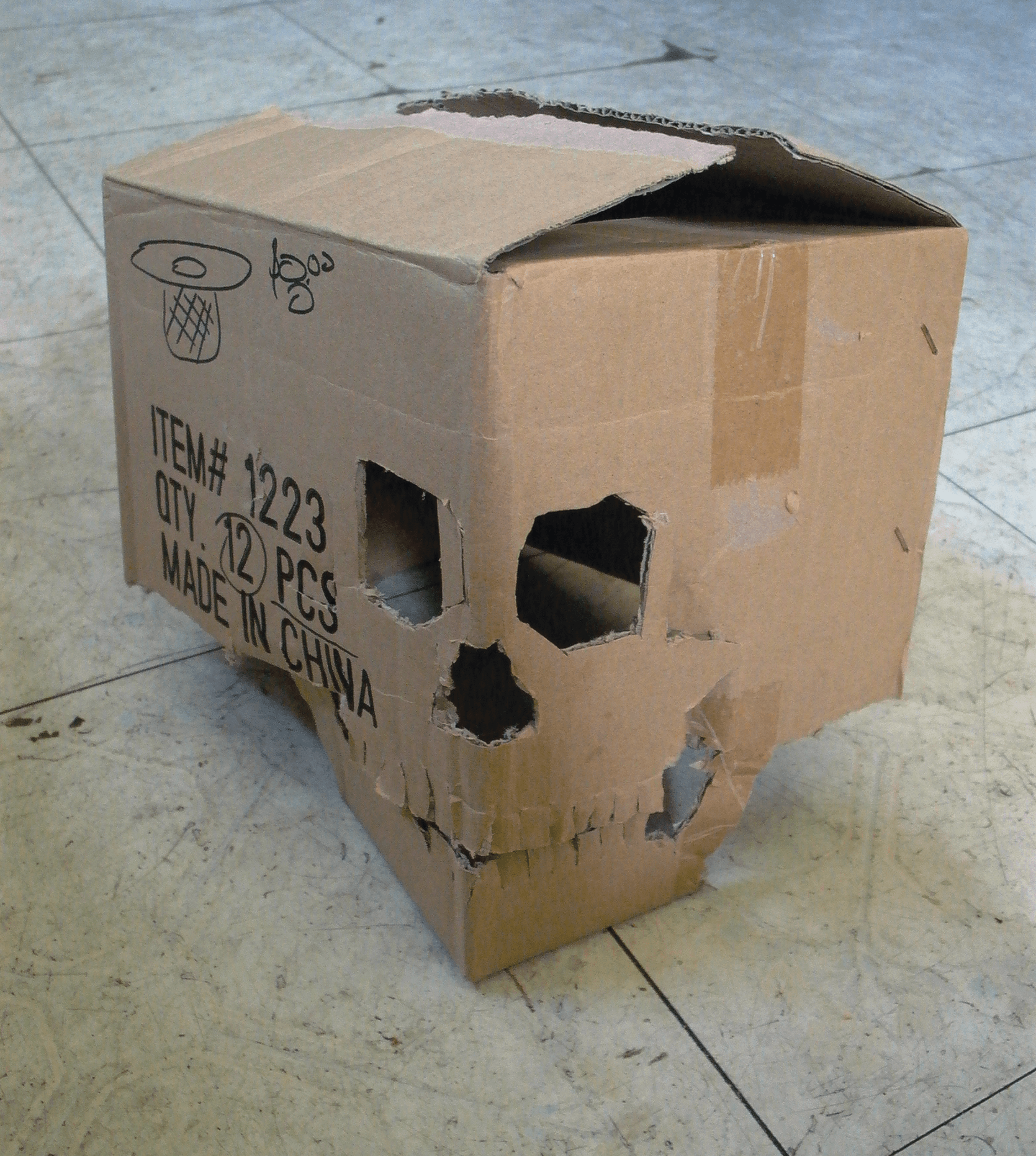 Cardboard Box Skull