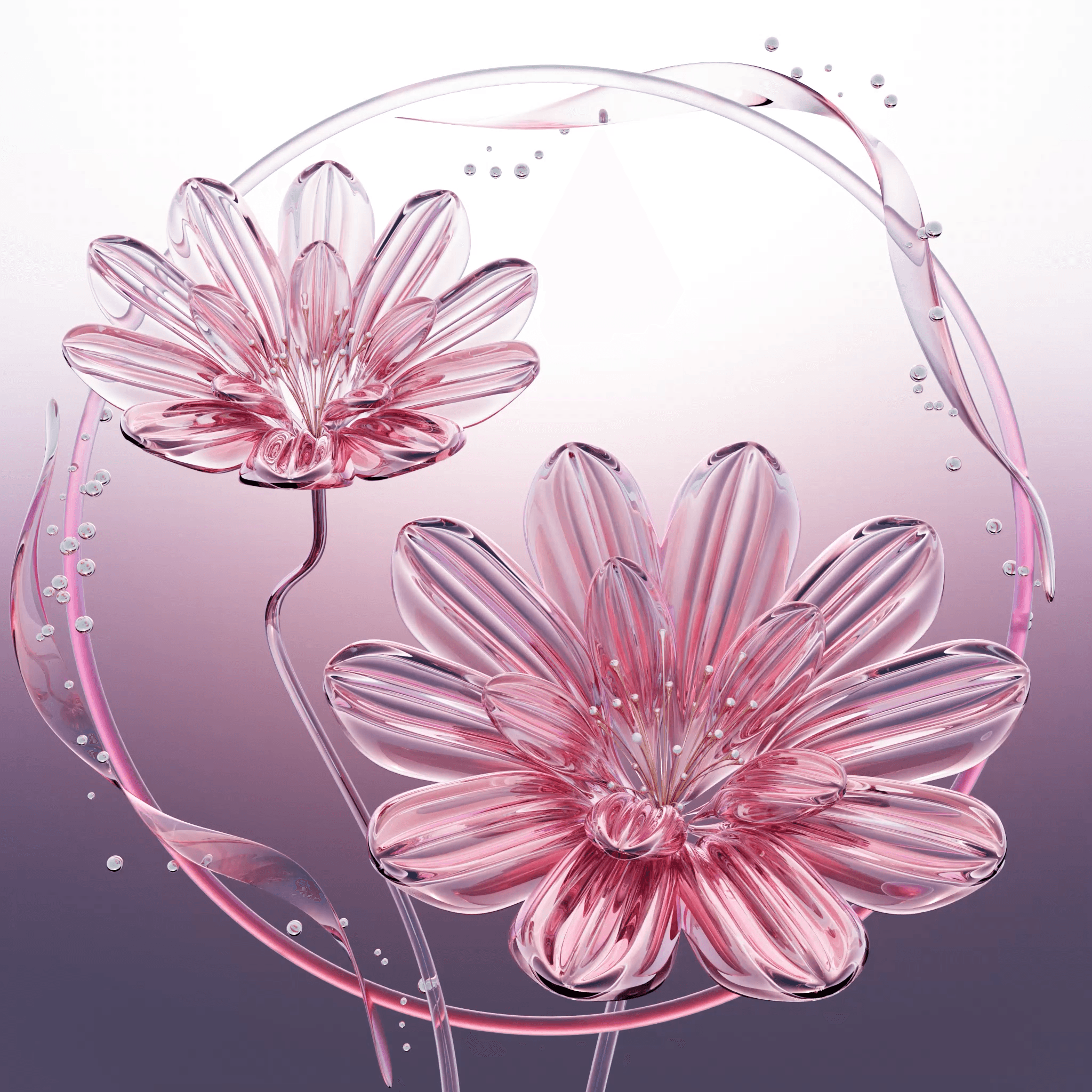 Pellucid Petals #06 - Rosé