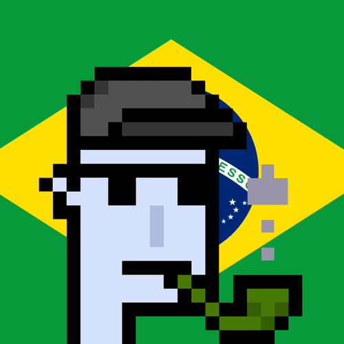 CryptoFlagPunks #0048 BRAZIL