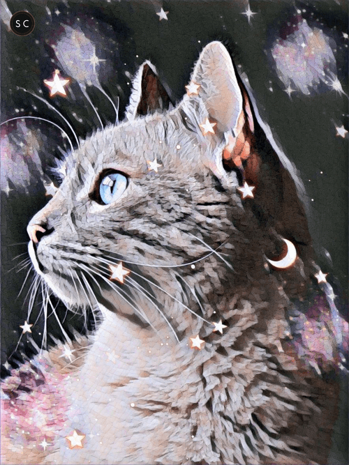 SpaceCat#2